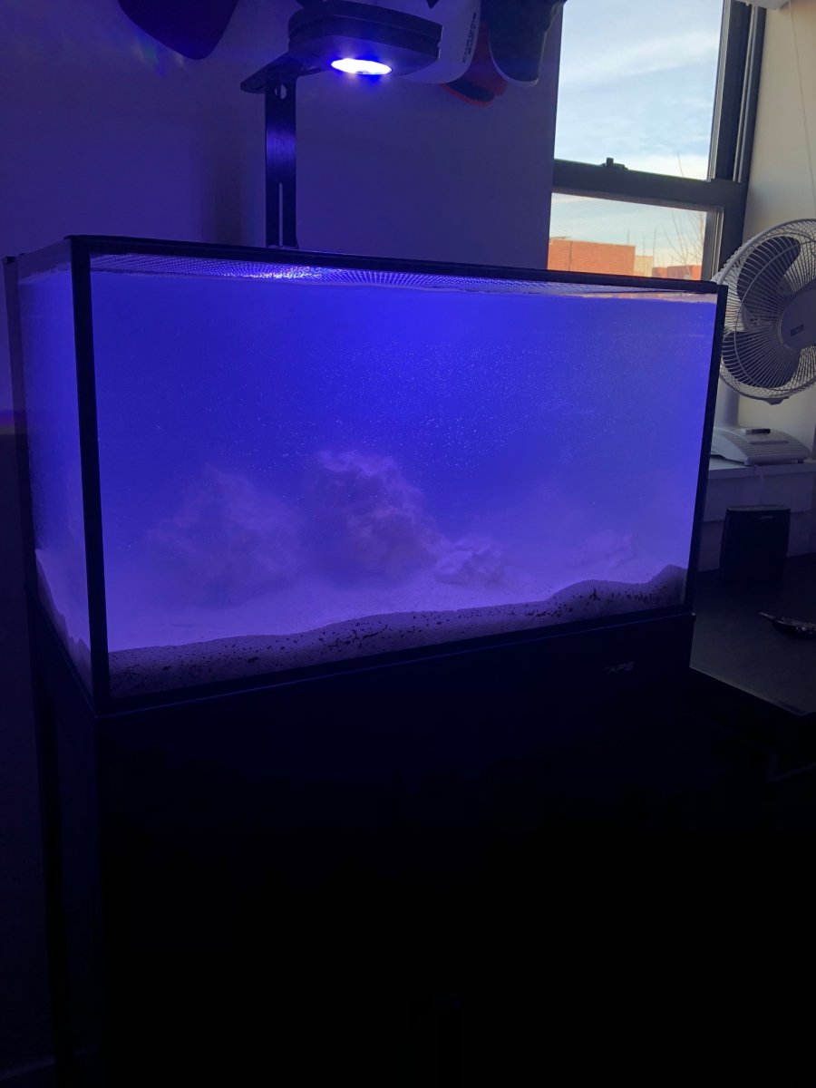 Aquascape with Water.jpg