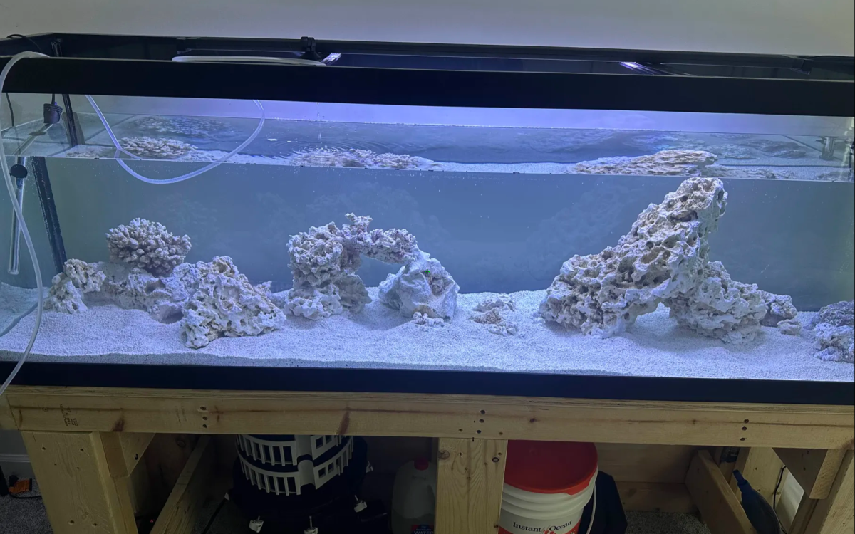 aquascape1.png