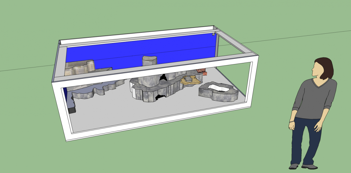 Aquascaping 2.png