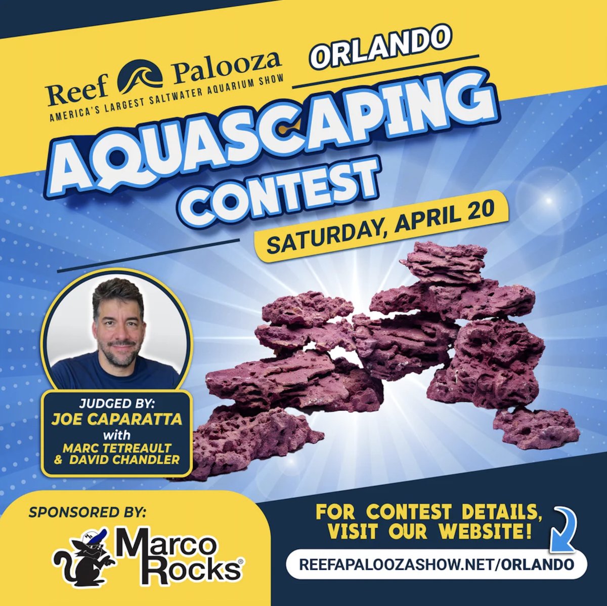 Aquascaping-Contest-1.jpg