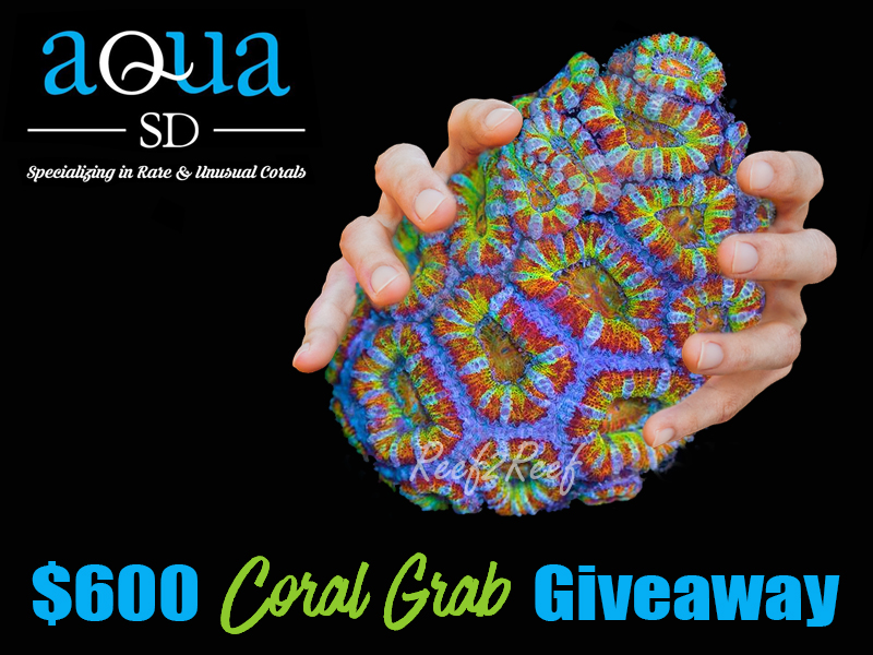 AquaSD Coral Grab Giveaway.jpg