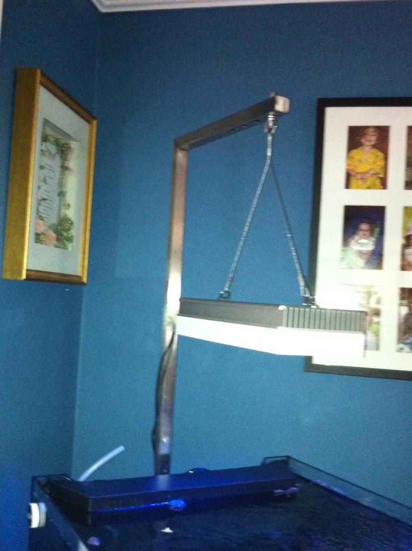 ARM1.jpg
