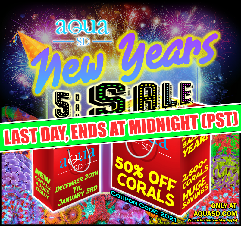 ASD-NewYearSale-AD3.png
