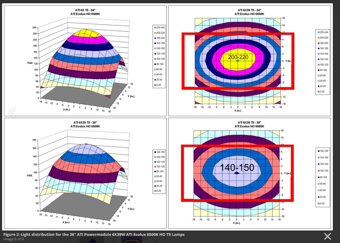 atit5spread.JPG