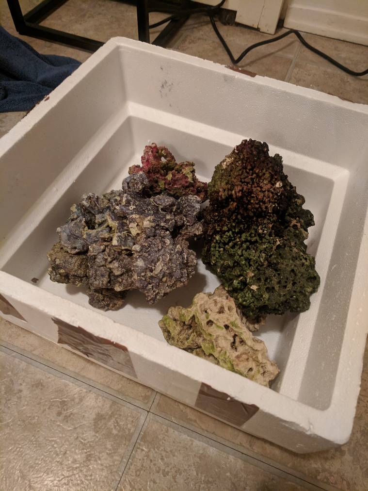 Attach35497_20190218_182747.jpeg