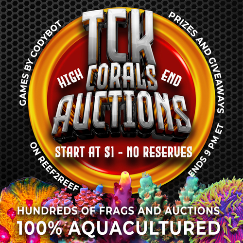 AUCTIONS-ENDING-NOW.jpg