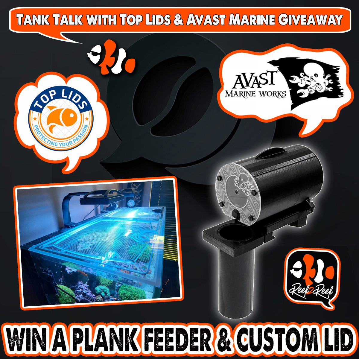 AVAST PLANK Top Lids Giveaway contest 4.jpg