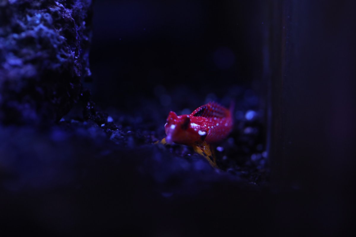 B0453F1D-31F5-40FF-BC28-7F0CDE91968E.jpeg