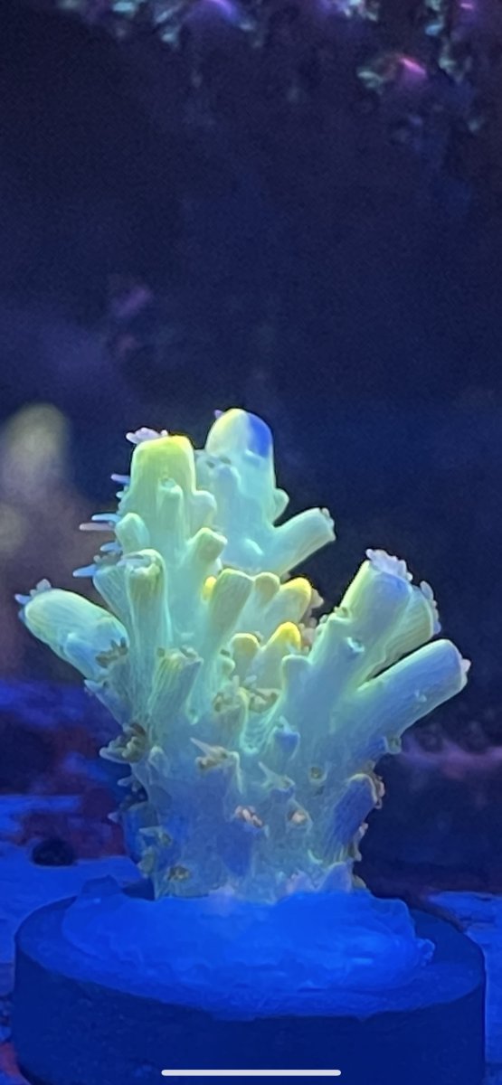 B08879A9-E99D-43ED-927E-D5379F7C9717.jpeg