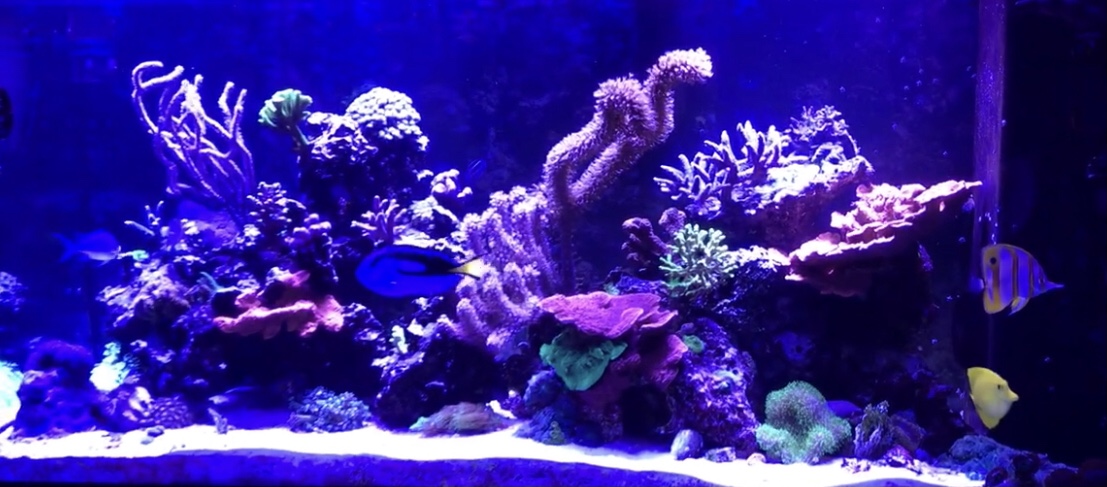 B09E35CB-32F1-4ABA-9F39-D0515FD2A6C4.jpeg