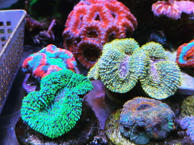 B0B7916A-2AD4-4B2C-A70C-0CE22D3E0859.jpeg