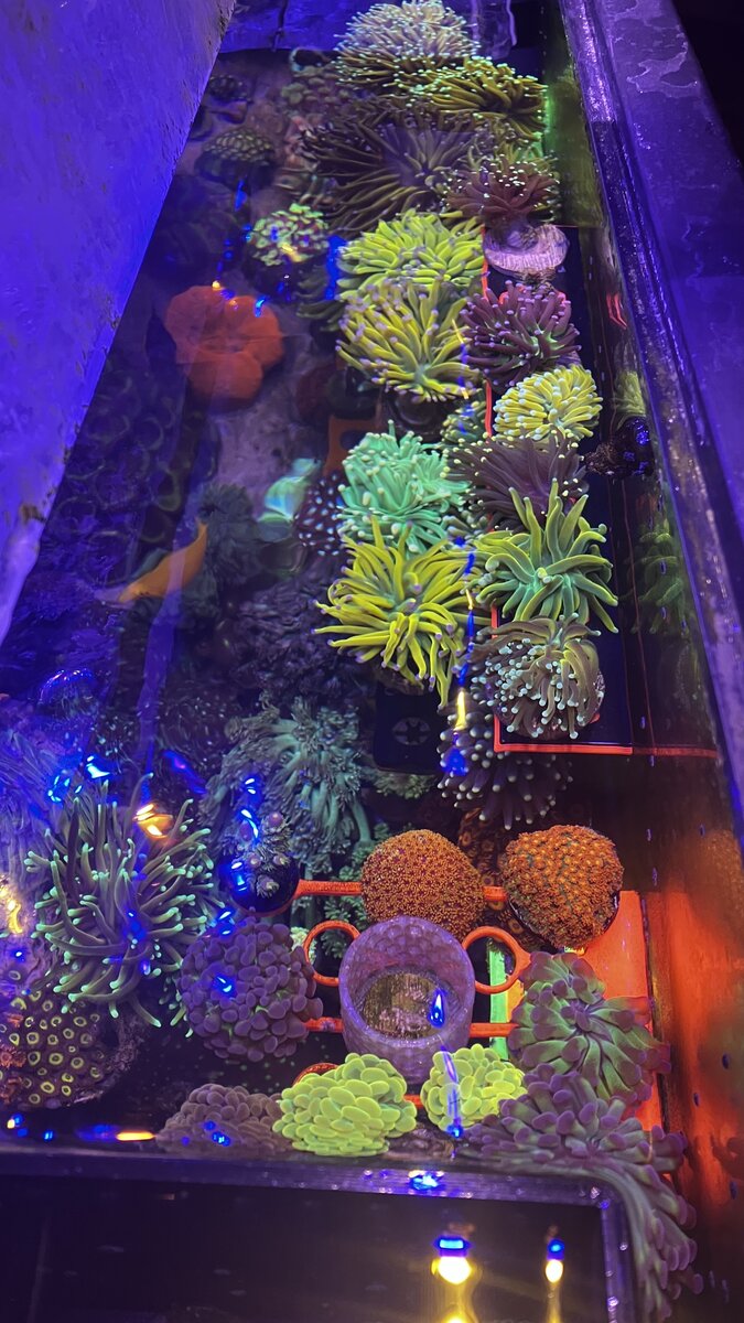 B0E2A103-2F72-4F3E-BC3D-73651067C349.jpeg