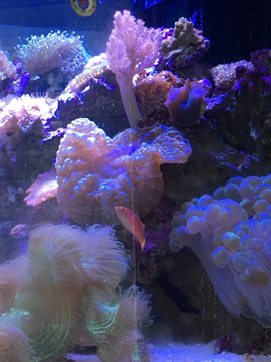 B15747E6-9D5F-42E6-ADE3-A1E6D294E059.jpeg
