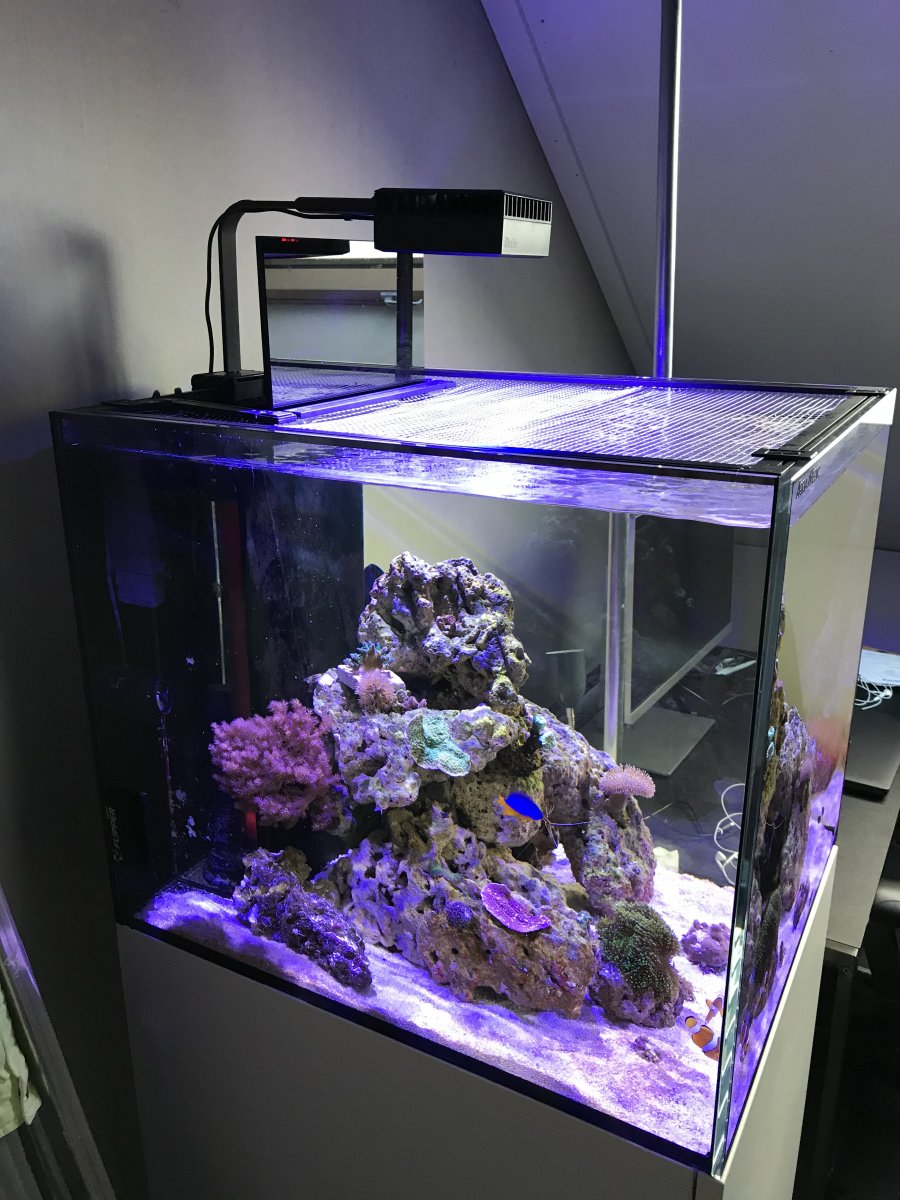RED SEA Reef LED 50セット 半年使用-