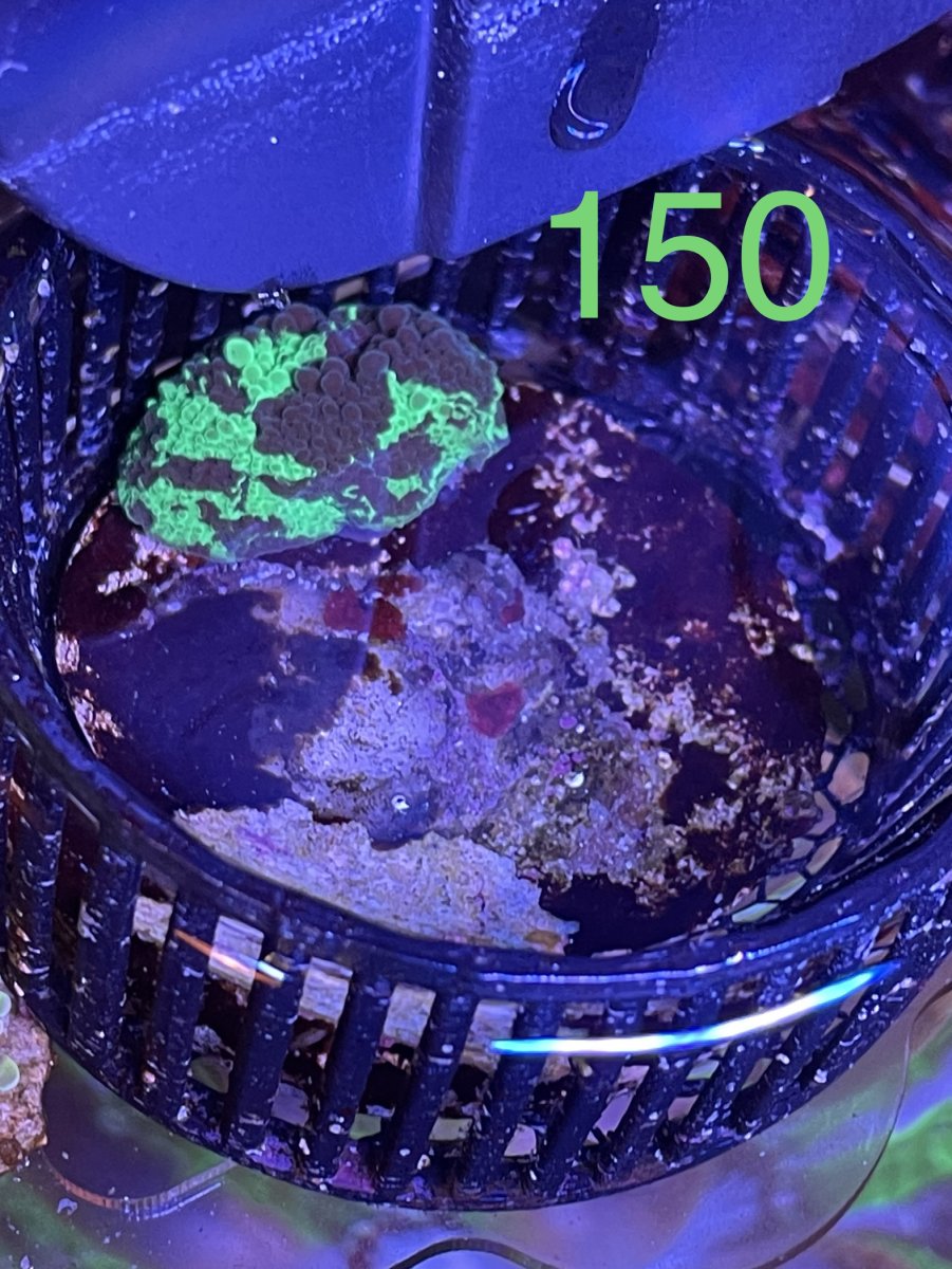 B1D08D43-AA64-43F4-8D9E-23C5F2FDA4D3.jpeg