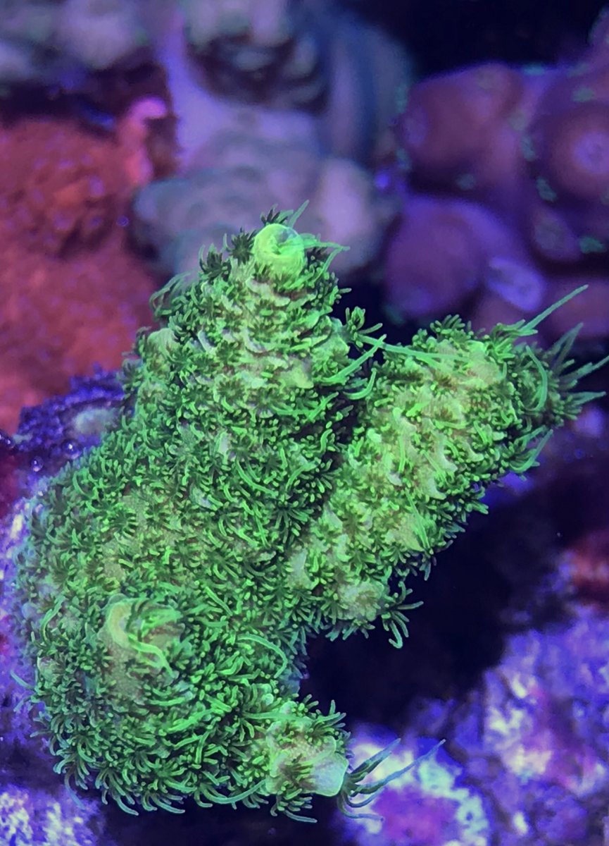 B3596786-587D-4777-9D7F-E009704987B1.jpeg