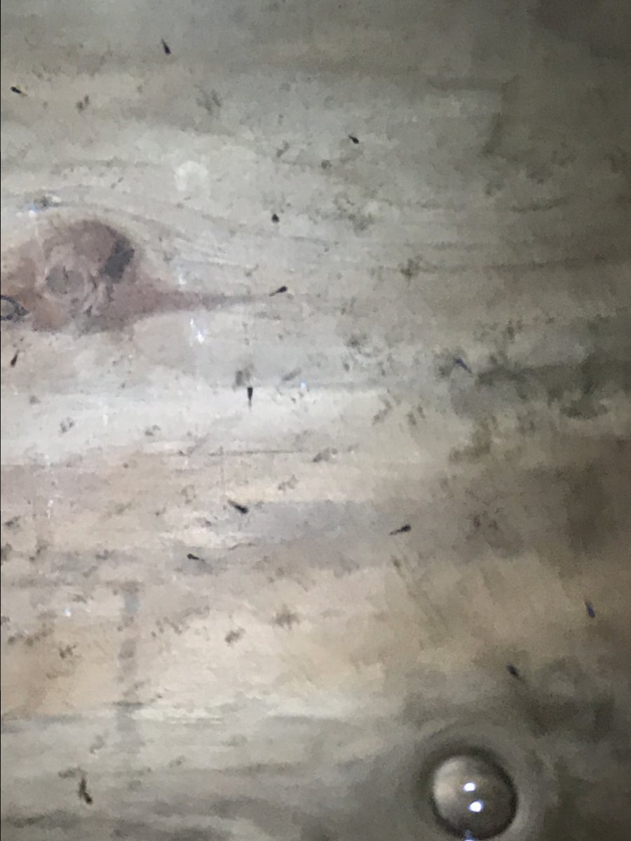 B438937A-5E98-4E1E-9F75-22C8B2FA3093.jpeg