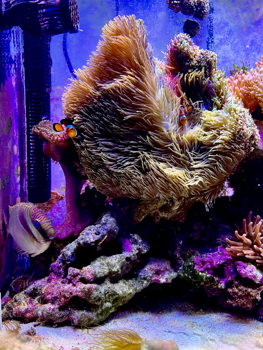B45640EA-0D80-402C-B1F2-FE01CA4D104B.jpeg