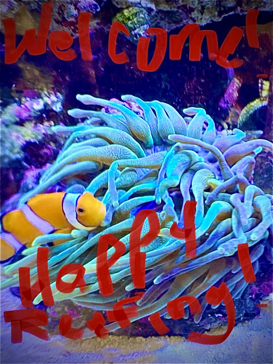B617A685-FB78-4DFC-A39F-E4CA12ABF616.jpeg