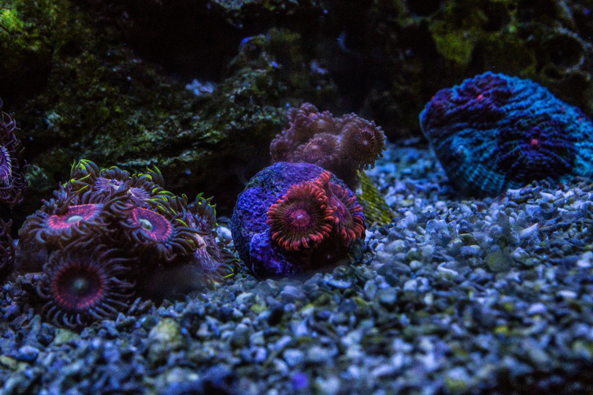 B67C151A-0775-4A67-8339-235C5A37B13D.jpeg