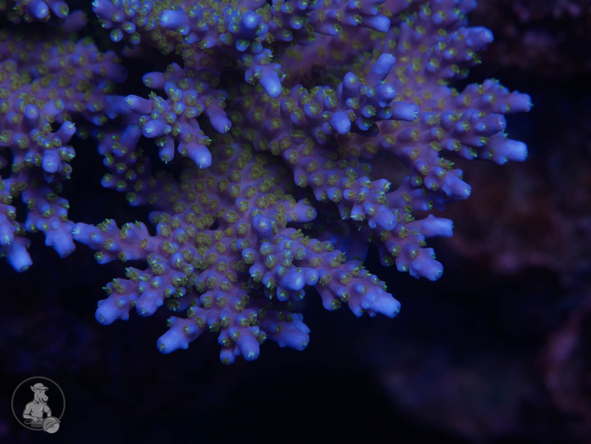 B69A9914-C7E7-484D-A778-74BE55BDB584.jpeg