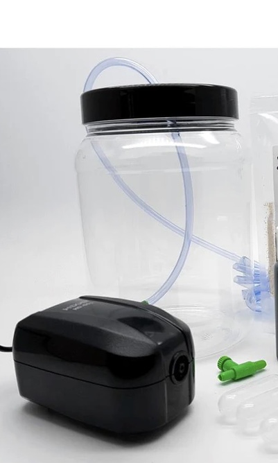 Keeping copepods in the UK | Reef2Reef