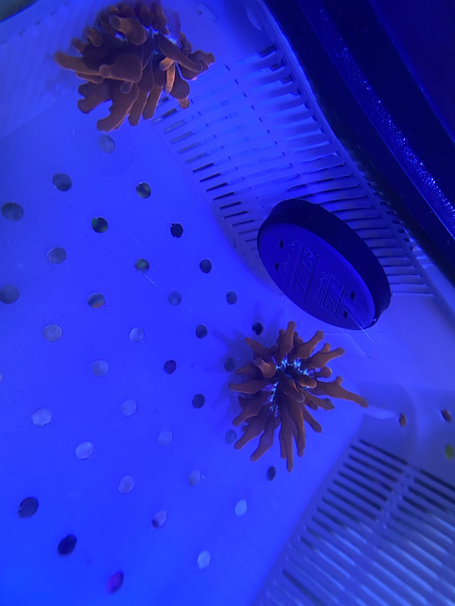 B7600087-E870-4091-827E-7F20AEF88B47.jpeg