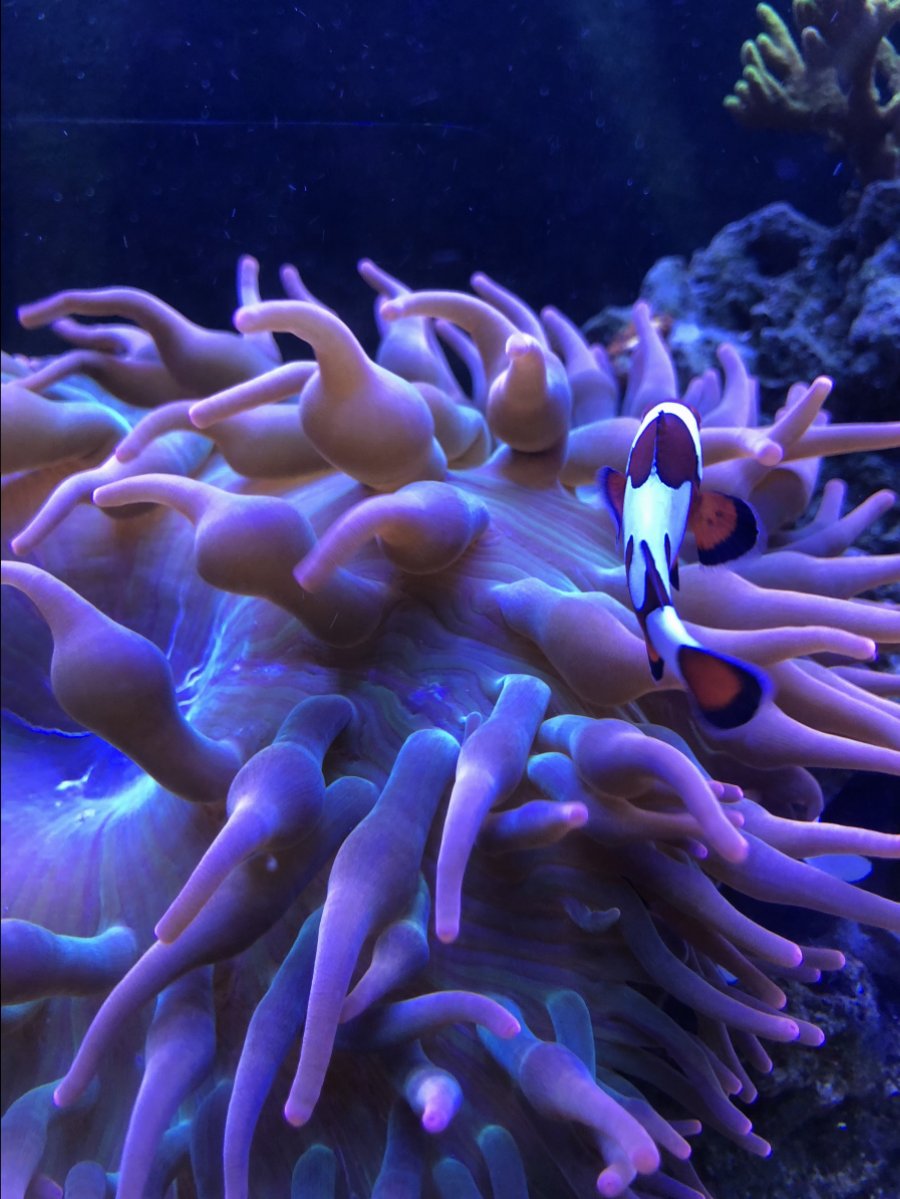 B7D186FF-2228-4876-9E2C-D8F2B6D3D03E.jpeg