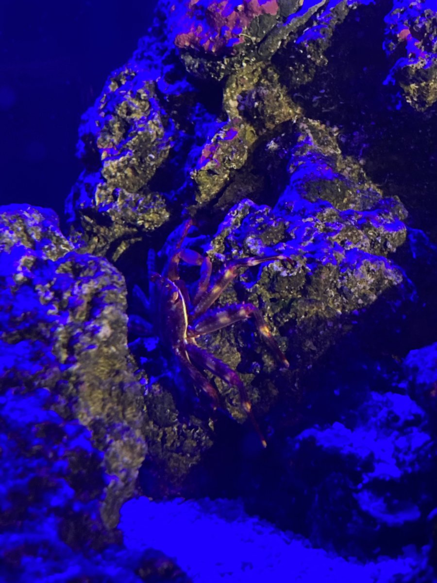 B7E02662-CA45-4CC6-9CA6-AC0BA6A062BE.jpeg