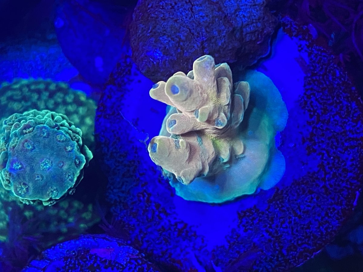 B830DFDE-1933-45B0-A551-2ED1E336CF55.jpeg