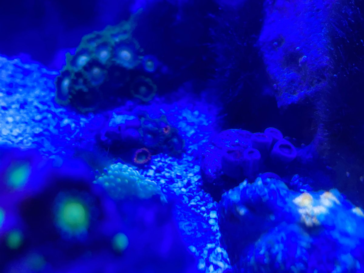 B9360712-30C6-4C85-B378-1423AD1E157F.jpeg