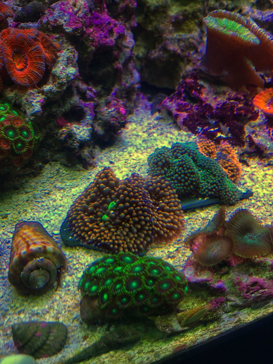 B9442067-5E6C-49E7-B41D-C90F3635671B.jpeg