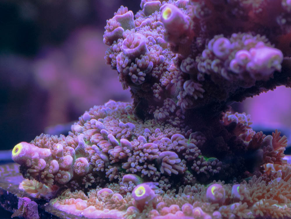 B9C7601F-FA52-4498-8160-9FB02C8ED050.jpeg