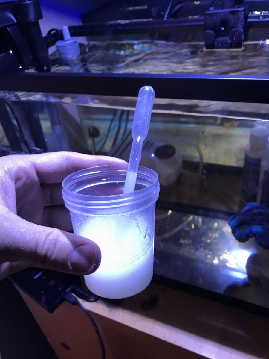 BA06E3BD-D9F6-441C-B6EA-95FA5E462DD9.jpeg