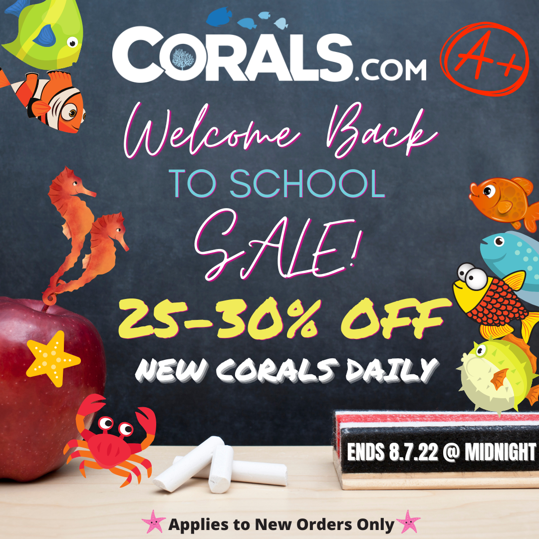 Back to school sale 2022.png