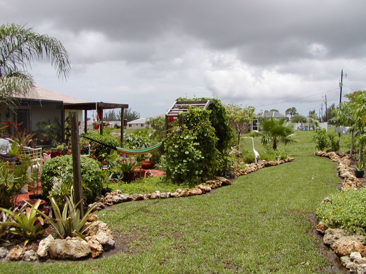 backyard 2.JPG