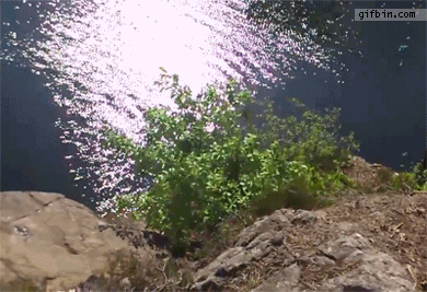 bad jump.gif