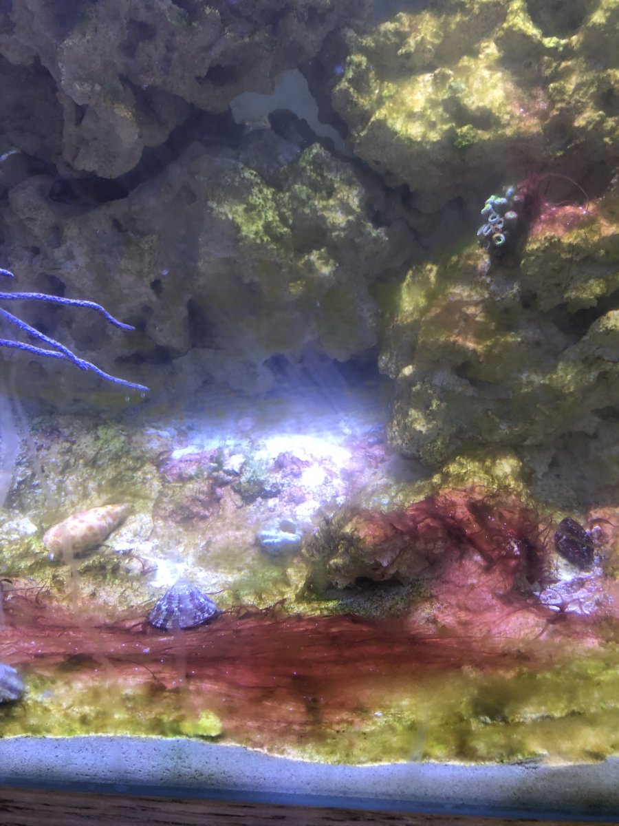 BAD6392A-27EF-400A-993D-442DD9866E2E.jpeg