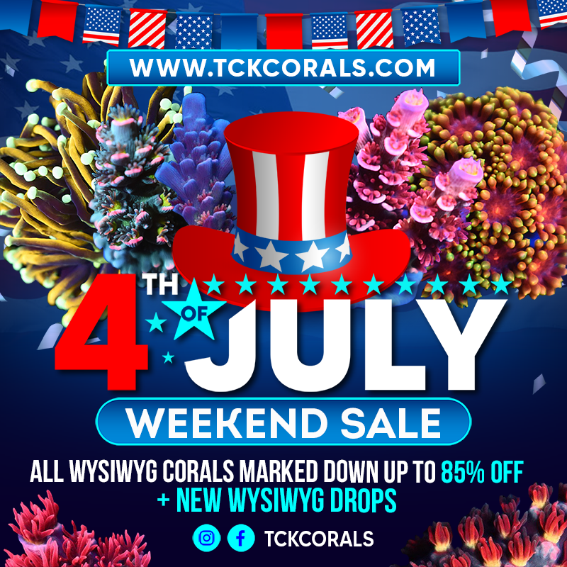 BANNER 4 TH OF JULY EMAIL 800 X 800.png