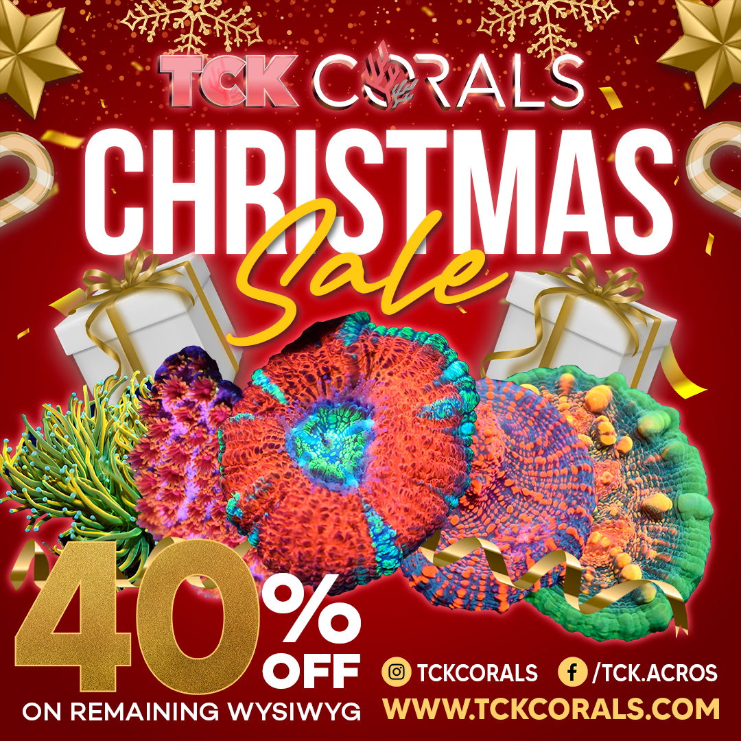 BANNER CHRISTMAS SALE Social Media Post Square 1080 x 1080.png