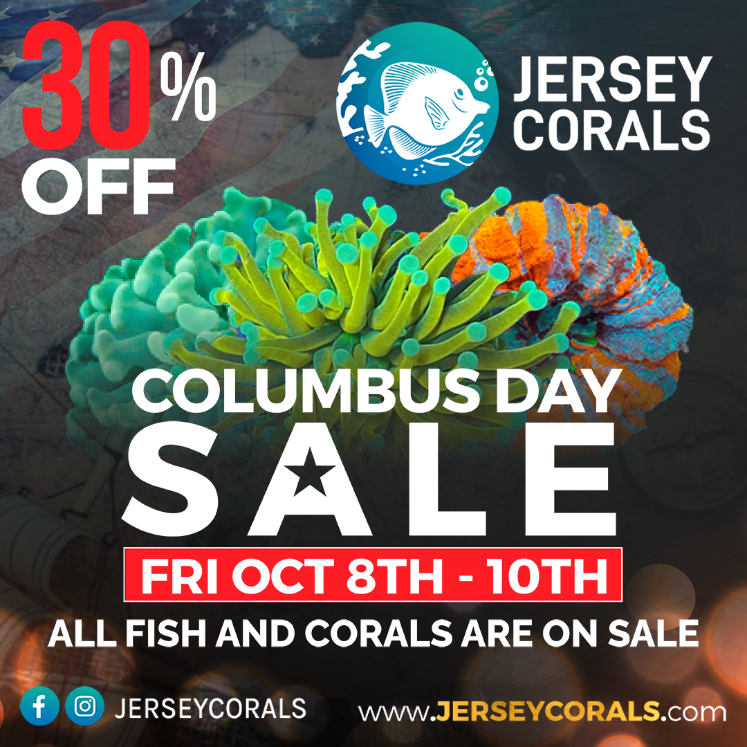 BANNER COLUMBUS DAY Social Media Post Square 1080 x 1080.png