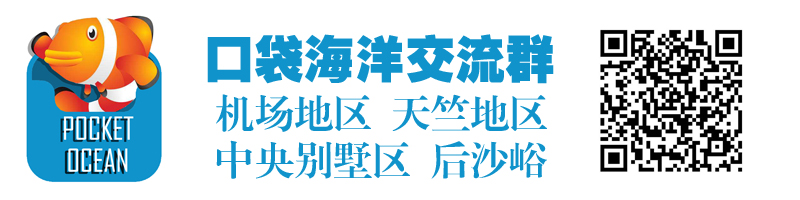 banner.jpg