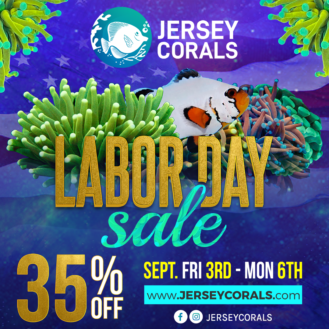 BANNER LABOR DAY JERSEY CORALS Social Media Post Square 1080 x 1080.png