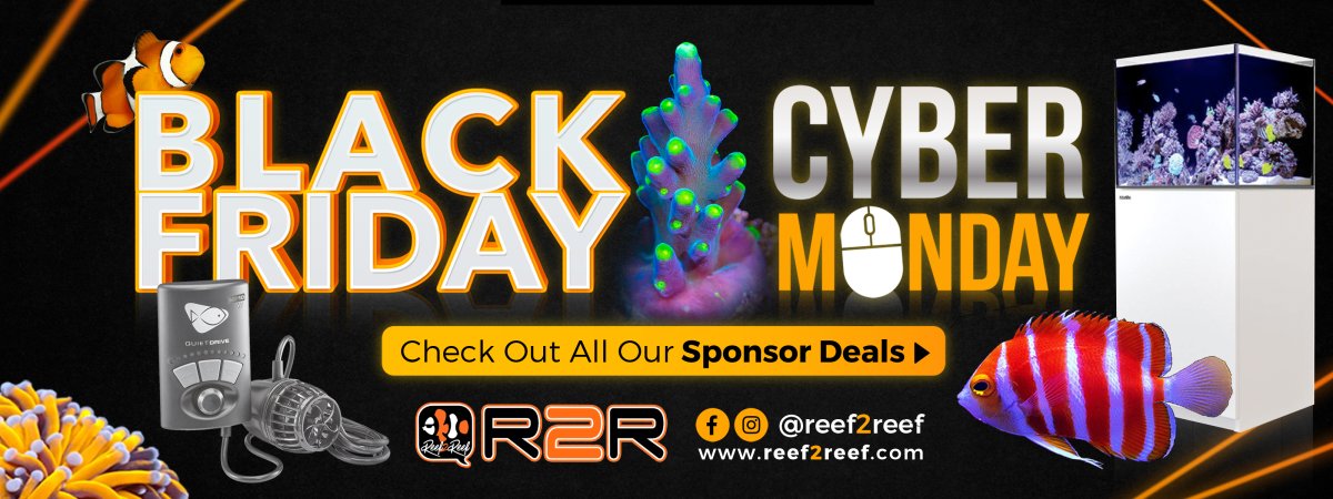 banner reef2reef black friday 3200 x 1200 copy.jpg