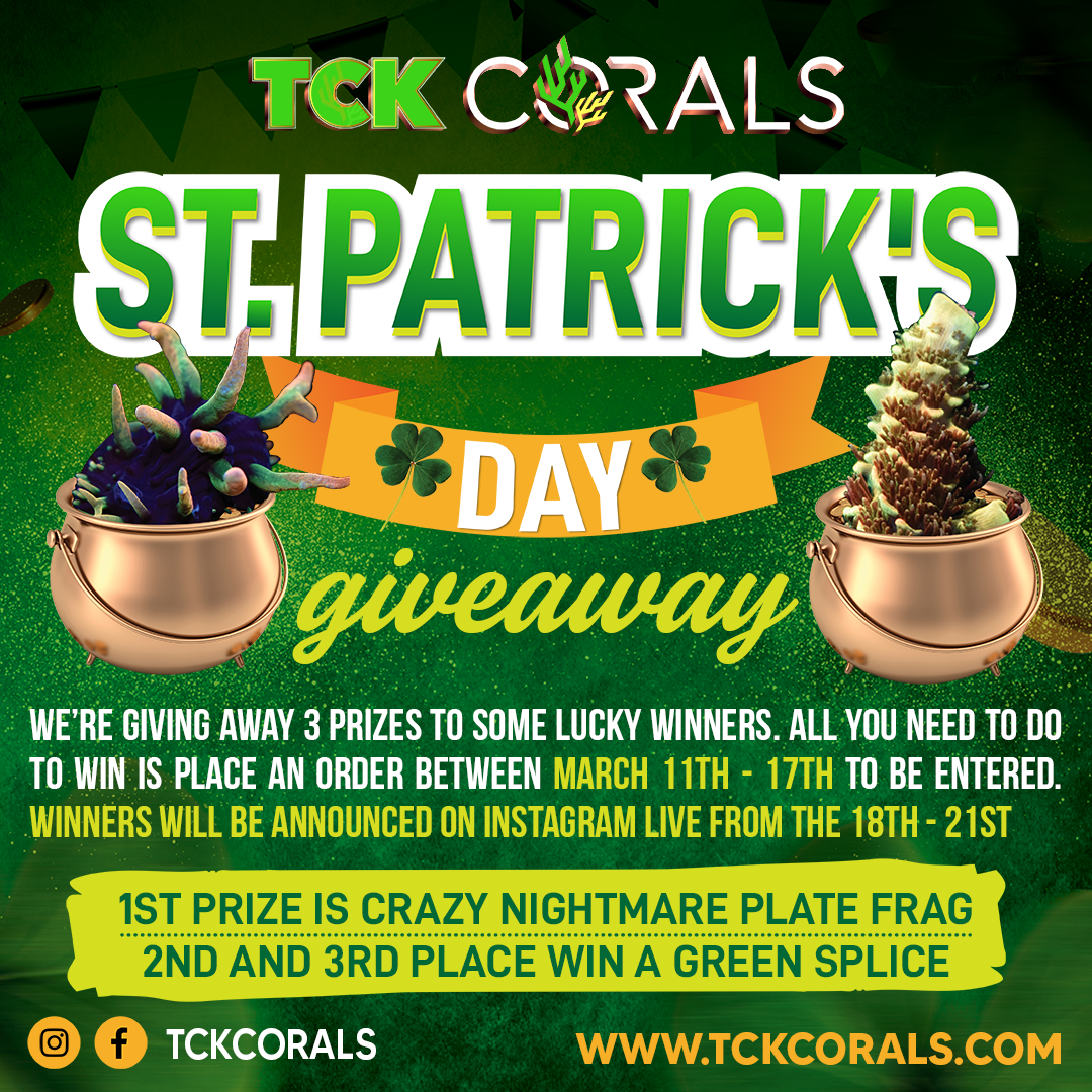 BANNER ST PATRICK´S GIVEAWAY Social Media Post Square 1080 x 1080.png