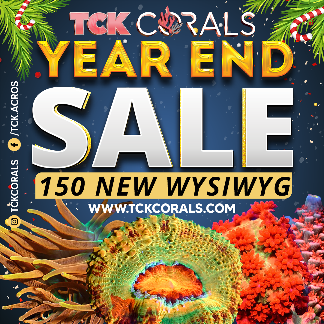 BANNER YEAR END SALE Social Media Post Square 1080 x 1080.png