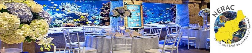 Banquet_Reef05-2.jpg