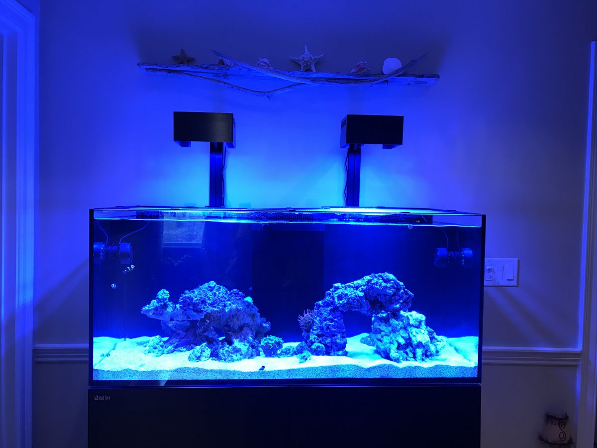 Hydra 26HD | D-D The Aquarium Solution