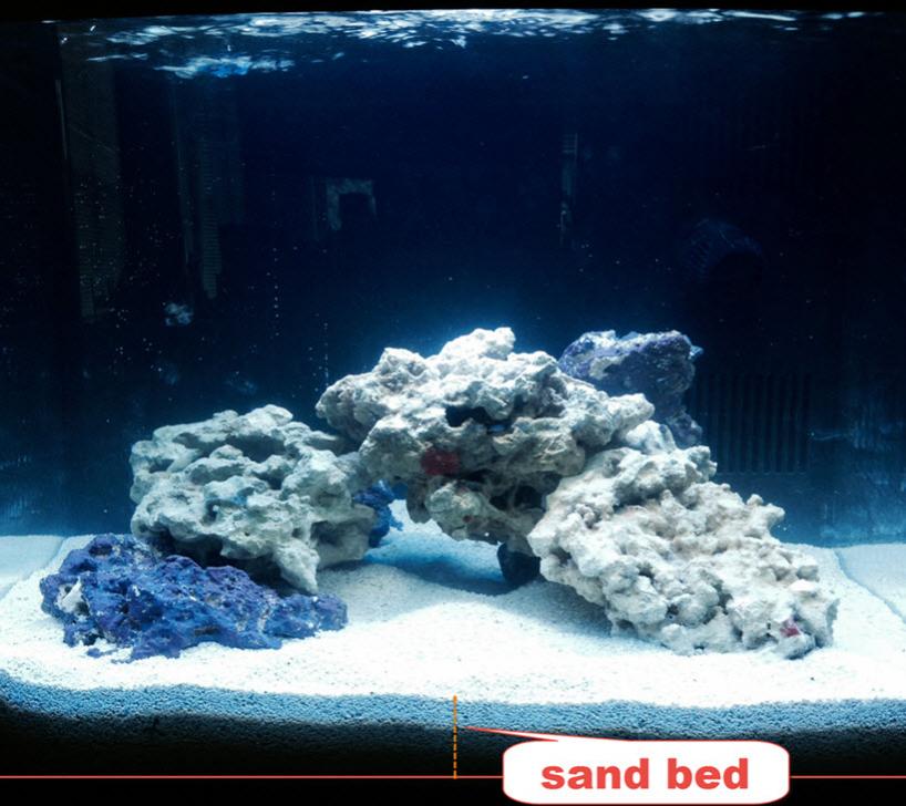 BaritoneJP_BC29_sandH2O.jpg