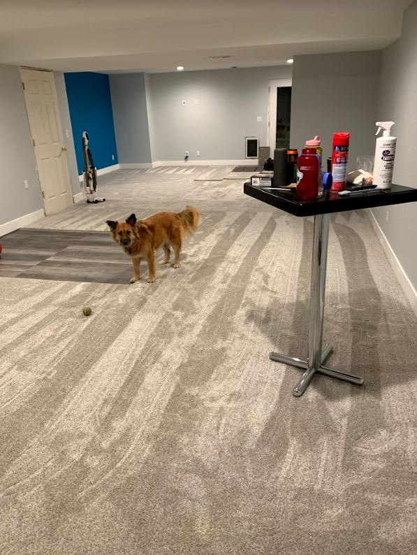 Baseboards 2.JPG